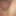 新しい写真