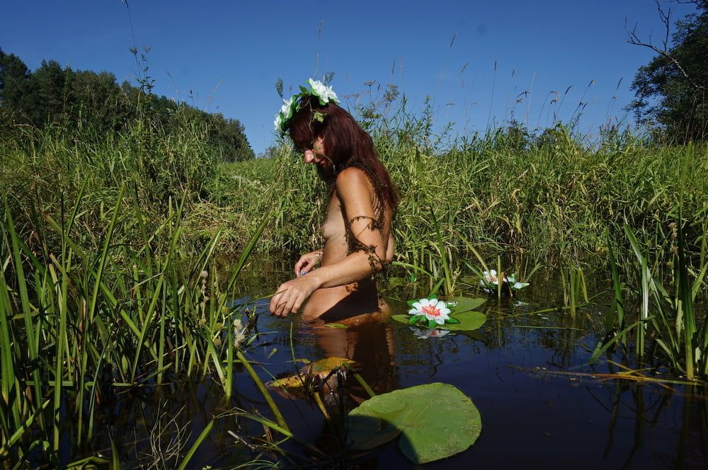  In Pond with Waterflowers 2 #51