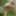 naked exhibitionist jerking in public outdoor woods with cum