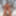 Nudes in the Work 63
