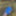 Cover up, reveal #5