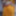 Yellow Hot new Photos #3