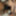  Big Strapon Teen Girl pegging Teen Guy #45