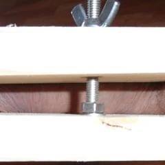 squeezed cock