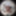 lizzy yum - panoramic images #20