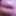 Close up Cock #5
