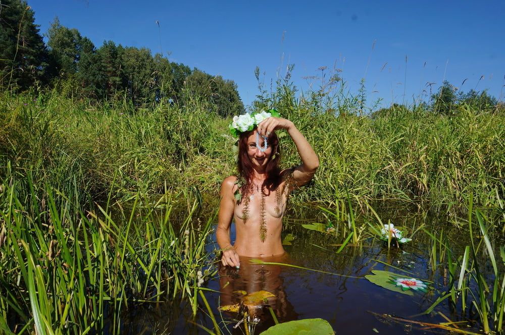 In pond with waterflowers #25