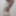 ランジェリーのセクシーな弱虫フェムボーイクロスドレッサー