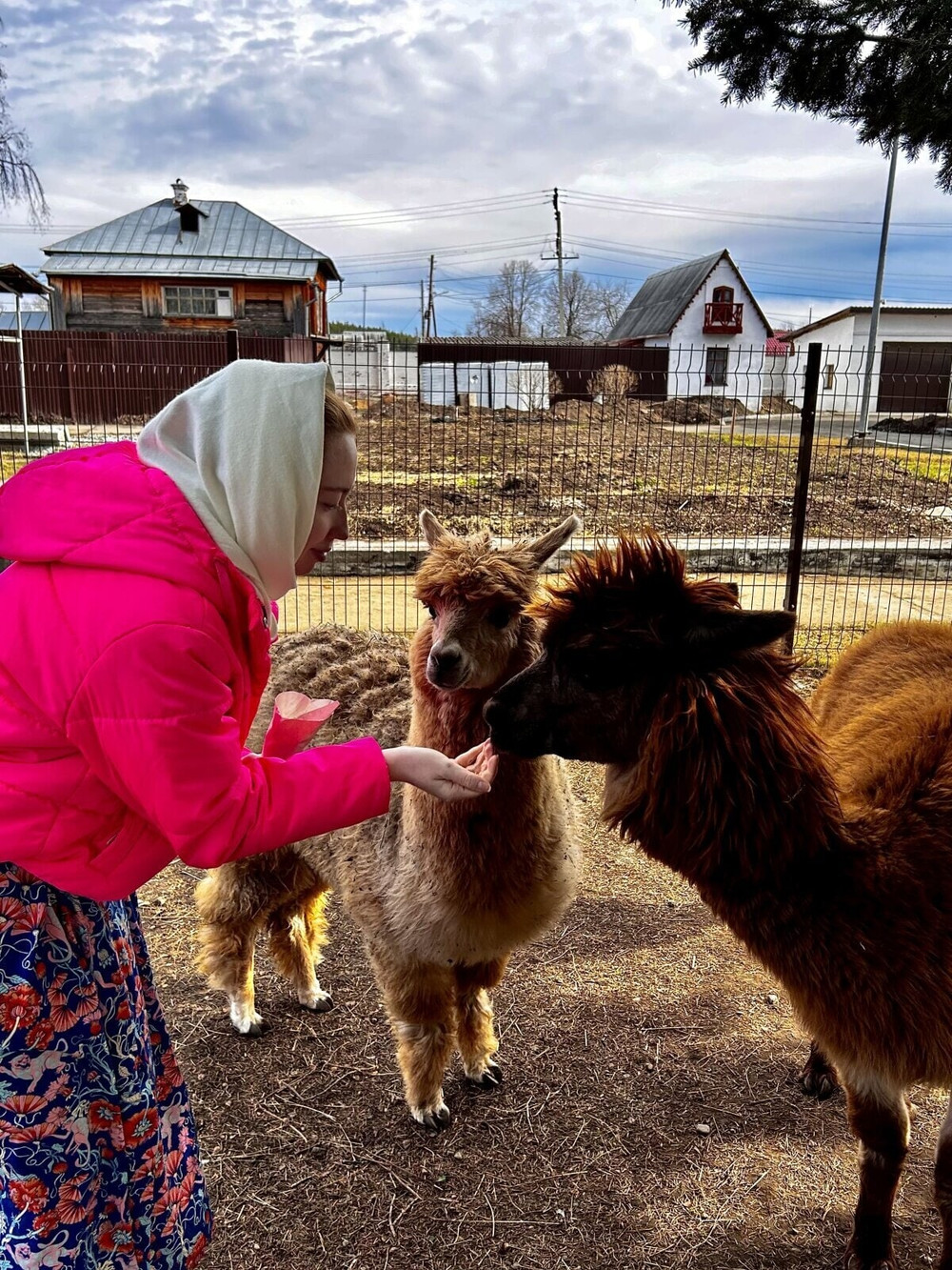 Tina Free Photos #16