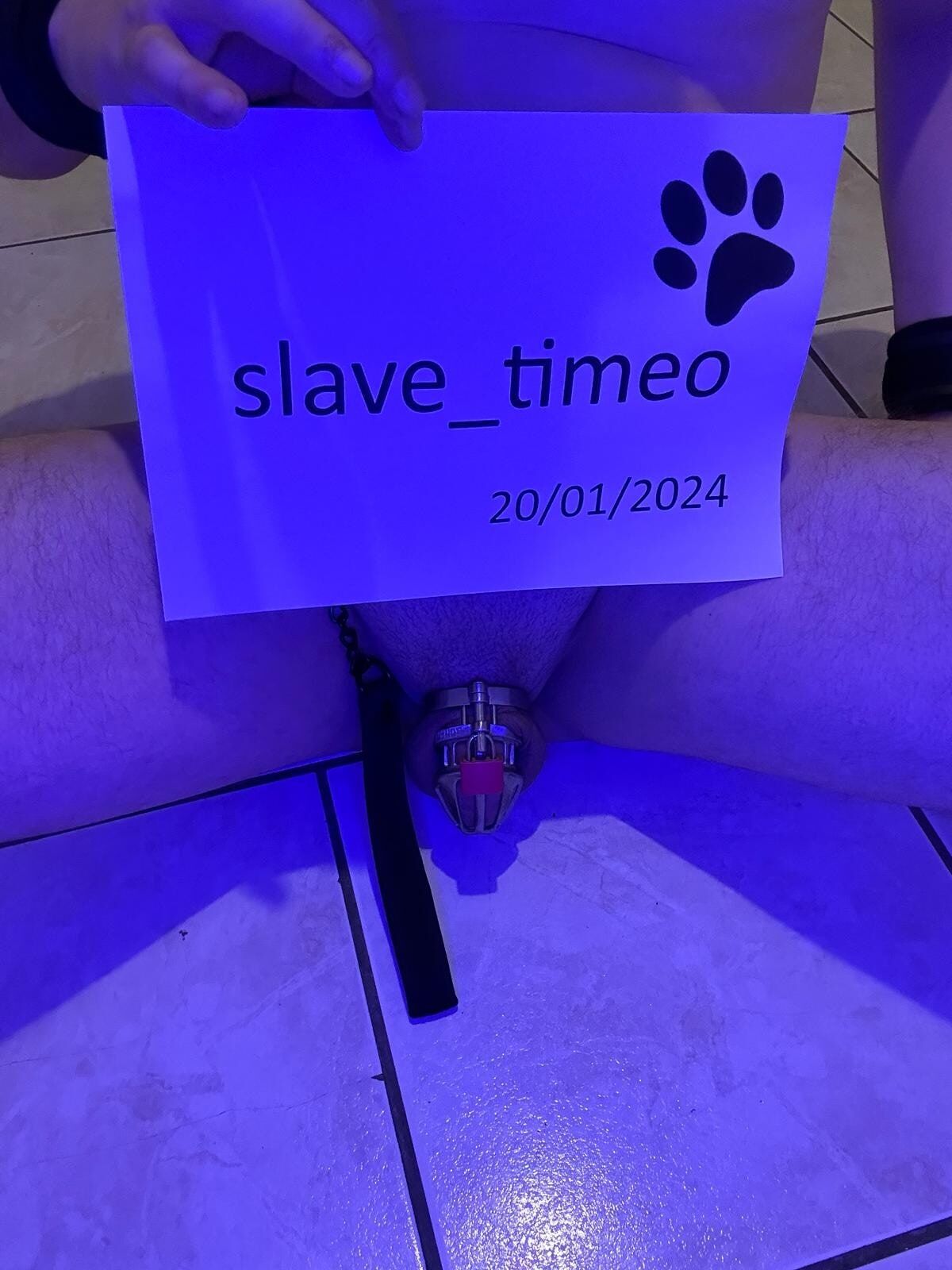 Presentation of slave_timeo (blue shooting) #33