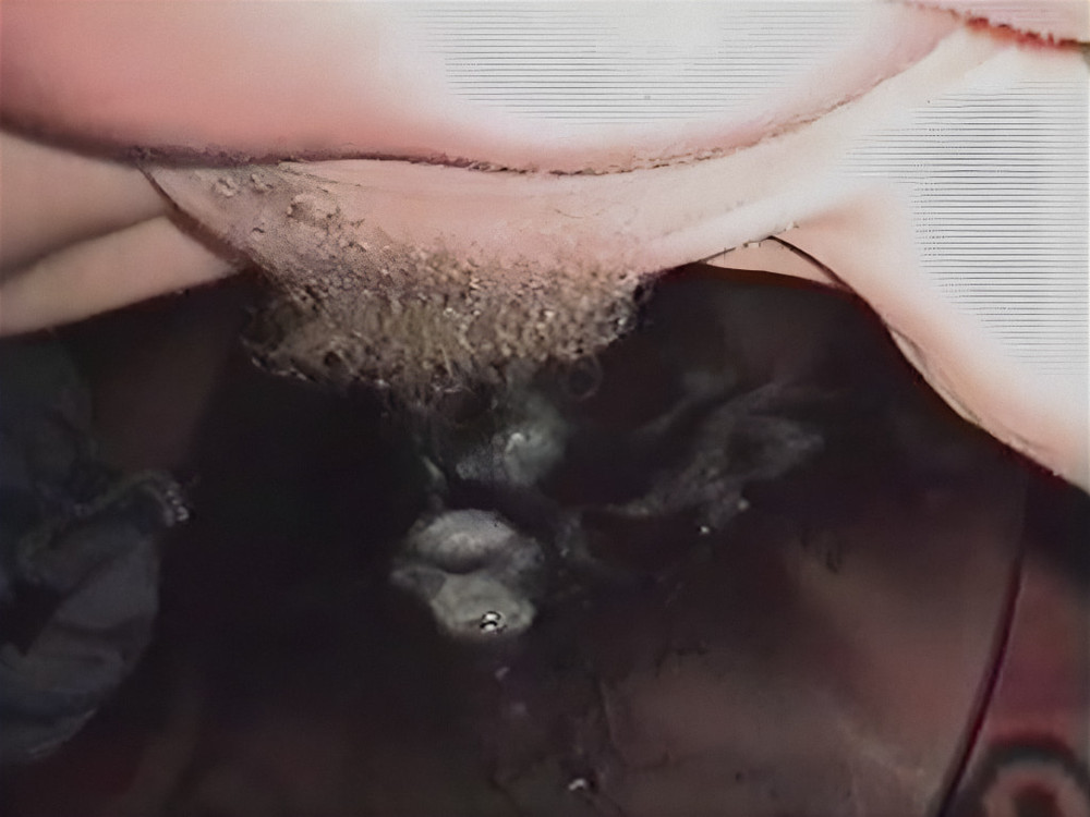 Samples from video -  My husband has no idea I'm a whore #13