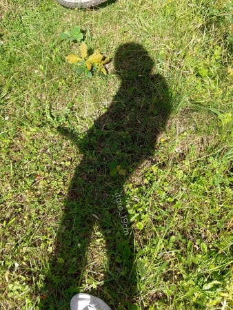 ただ楽しい写真です