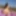 Beauty in stockings teases at the beach
