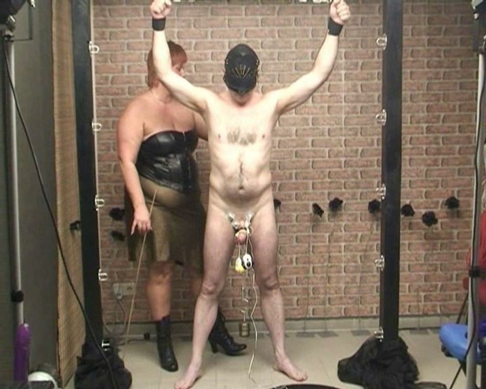 Slaves cock processed #12