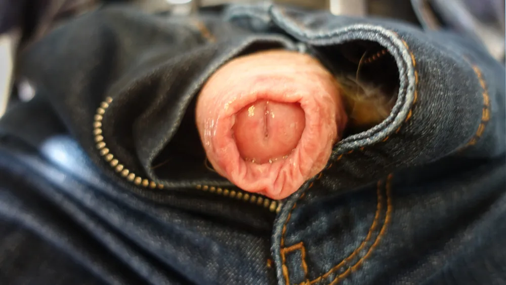 Pants open - cock out! #3