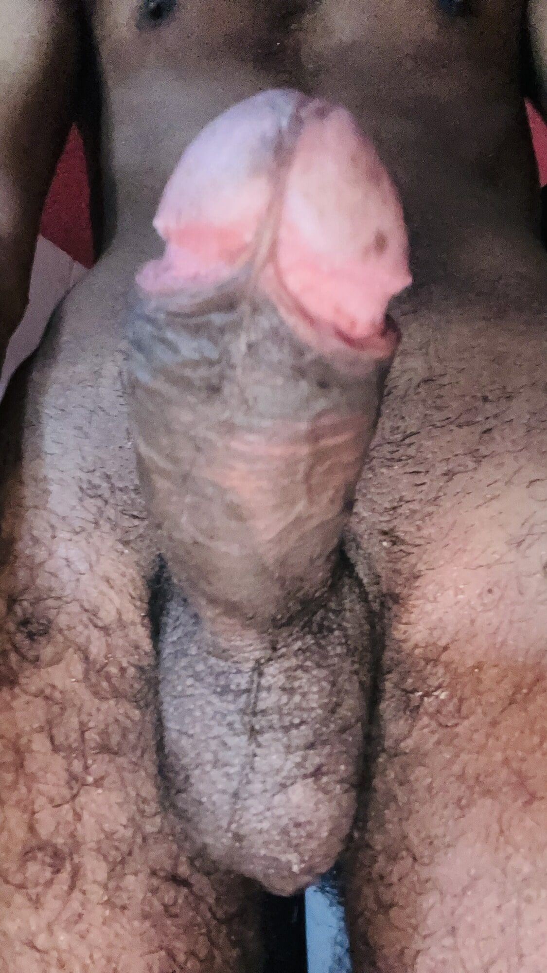 My Cock 