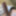 My hot dick 