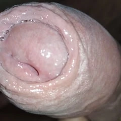 my dick wants