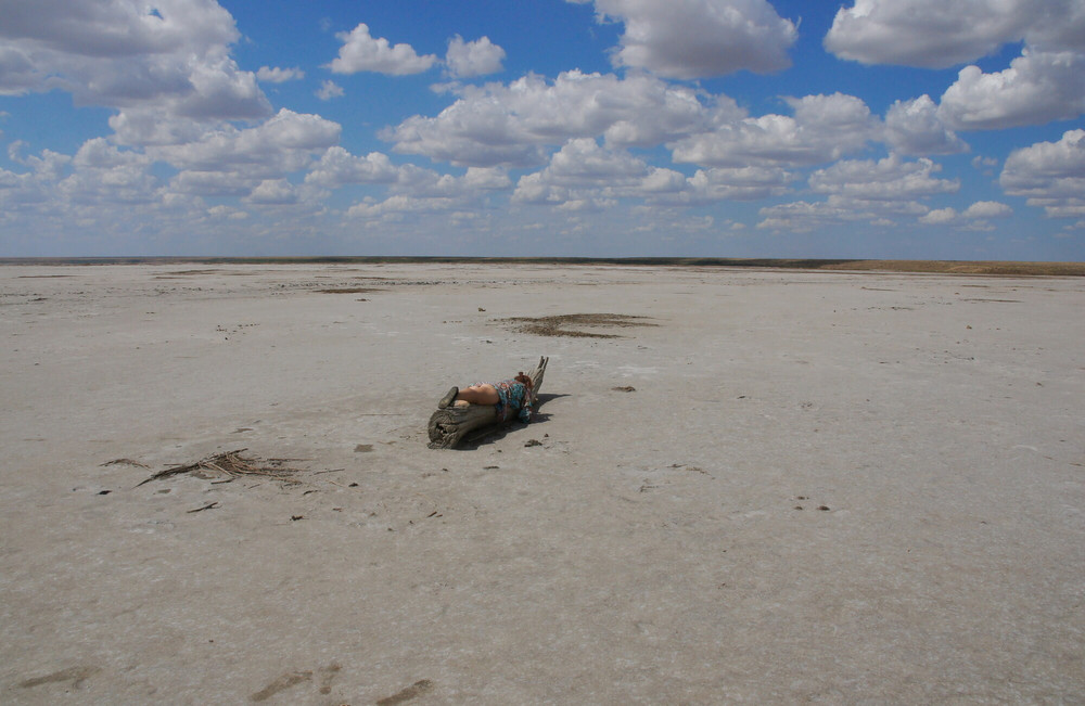 On log in desert #11