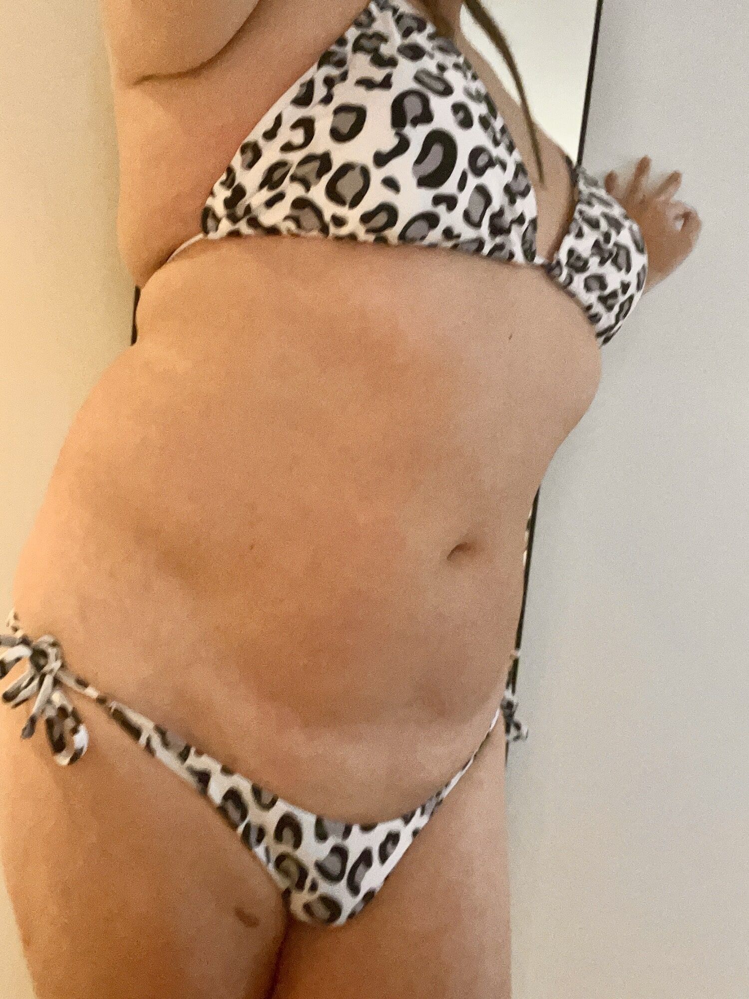 New Leopard Print Bikini 