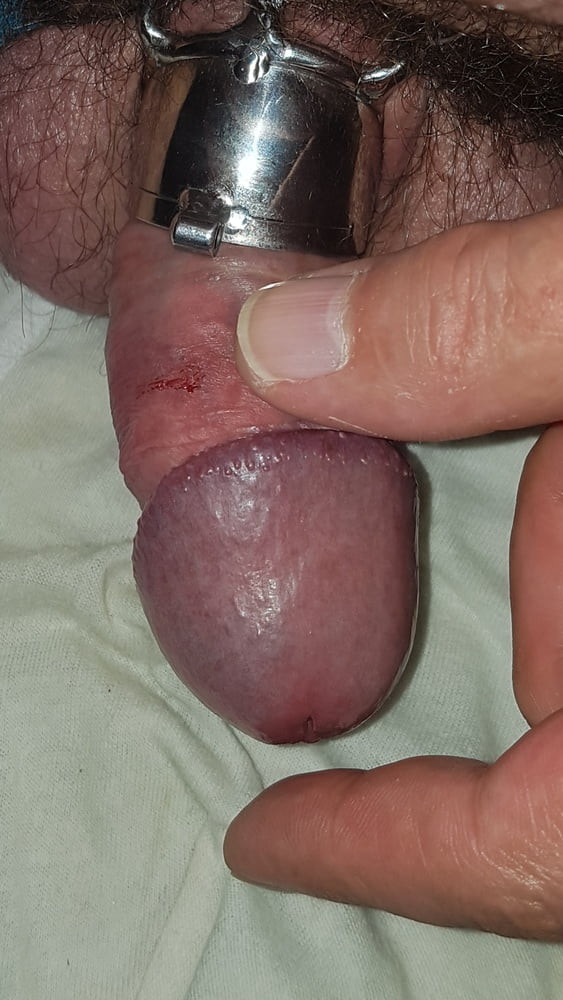 Chastity cage #42