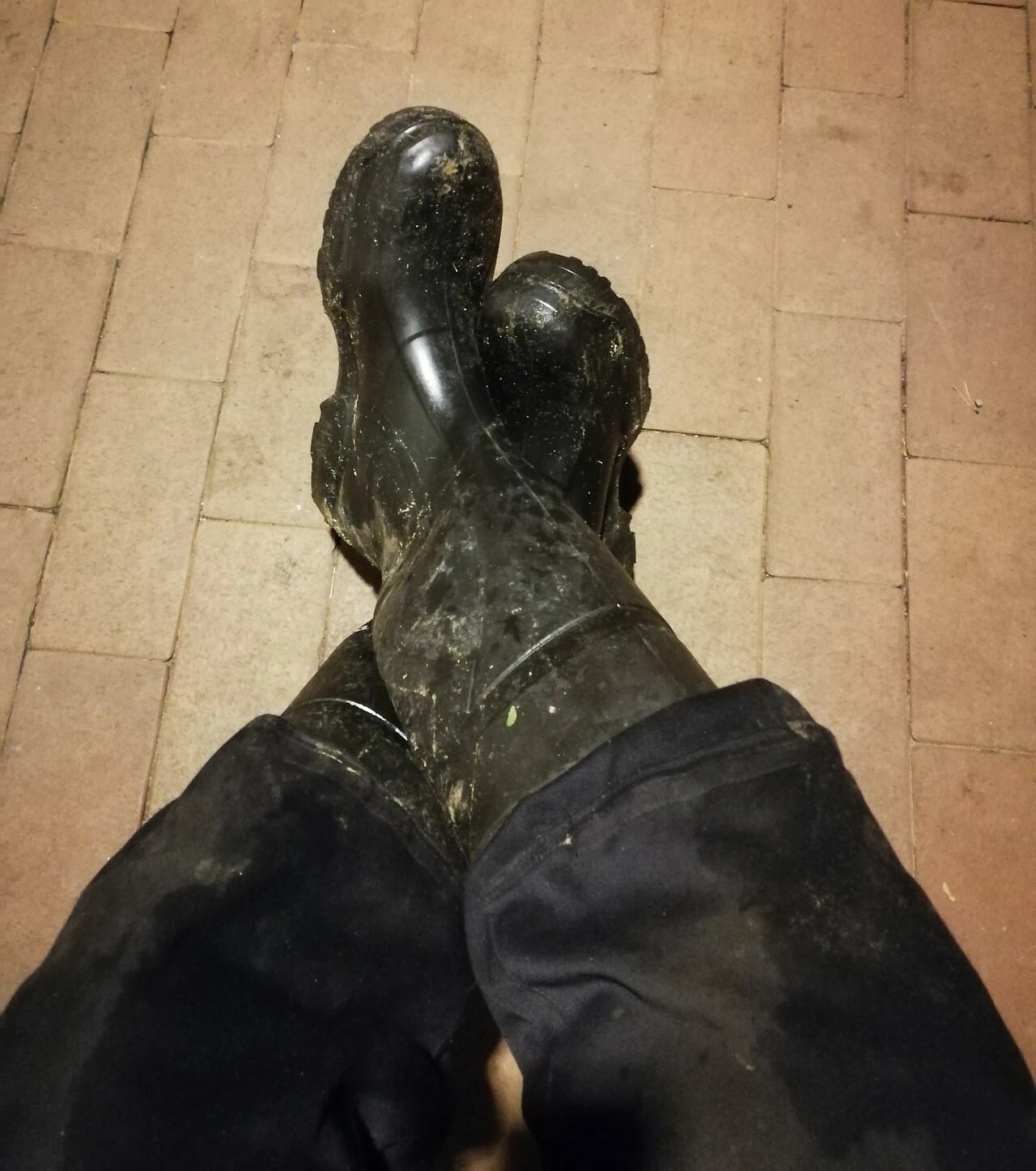 Bauernschwanz und Gummistiefel #2
