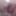 Small dick with peehole insert