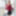 Shino Aoi :: Sexual Dream Comes True 2019 - CARIBBEANCOM #3
