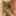 Gif my hole 
