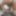 Porno Making of Dr.Notgeil