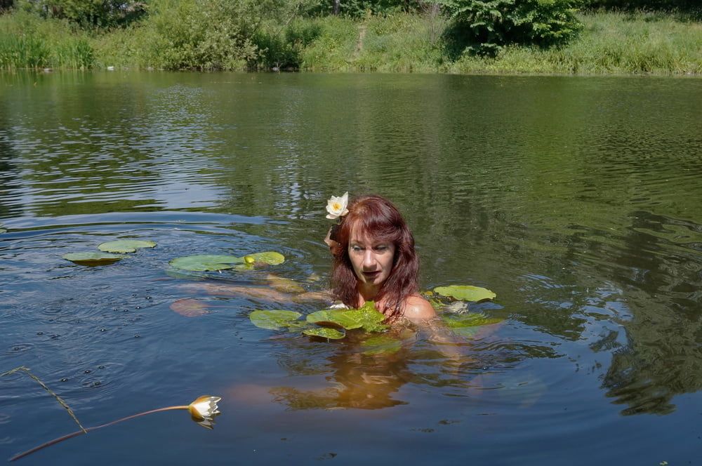 In the Pond #2