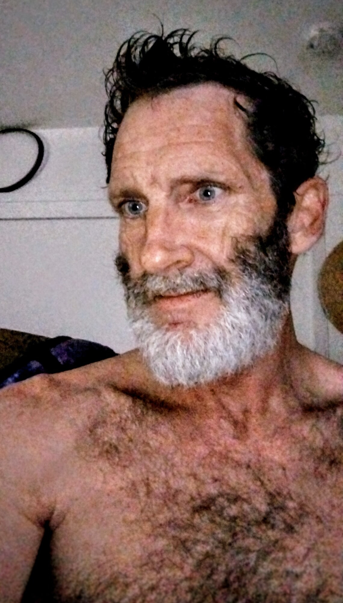 Scott 