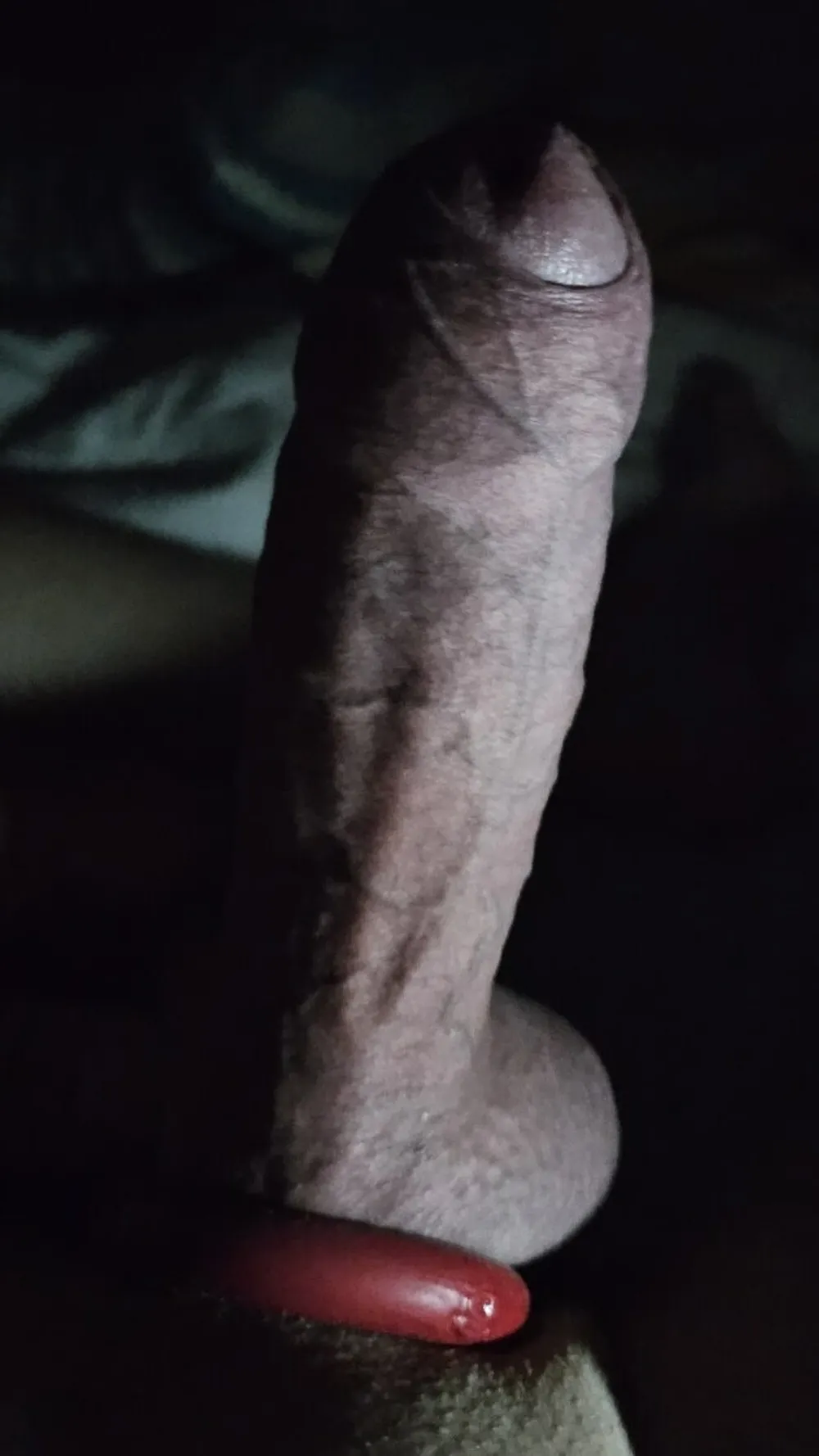 Pic Dick #5