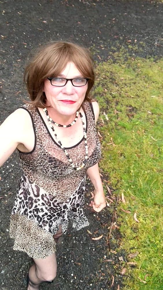 Crossdress Road trip leopard Print dress