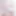 new porcinus photos from May 2025