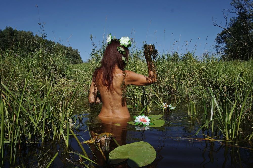  In Pond with Waterflowers 2 #46