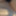 Cumshot on pussy 