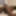 BiBlackUK Naked and Exposed