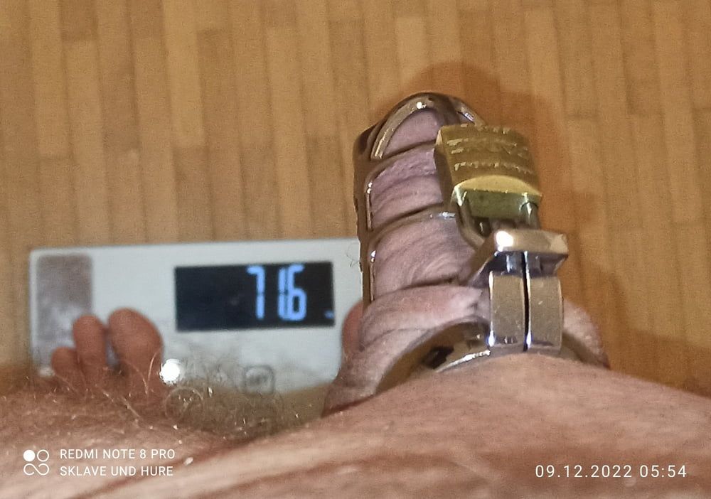 mandatory weighing and cagecheck of 09.12.22