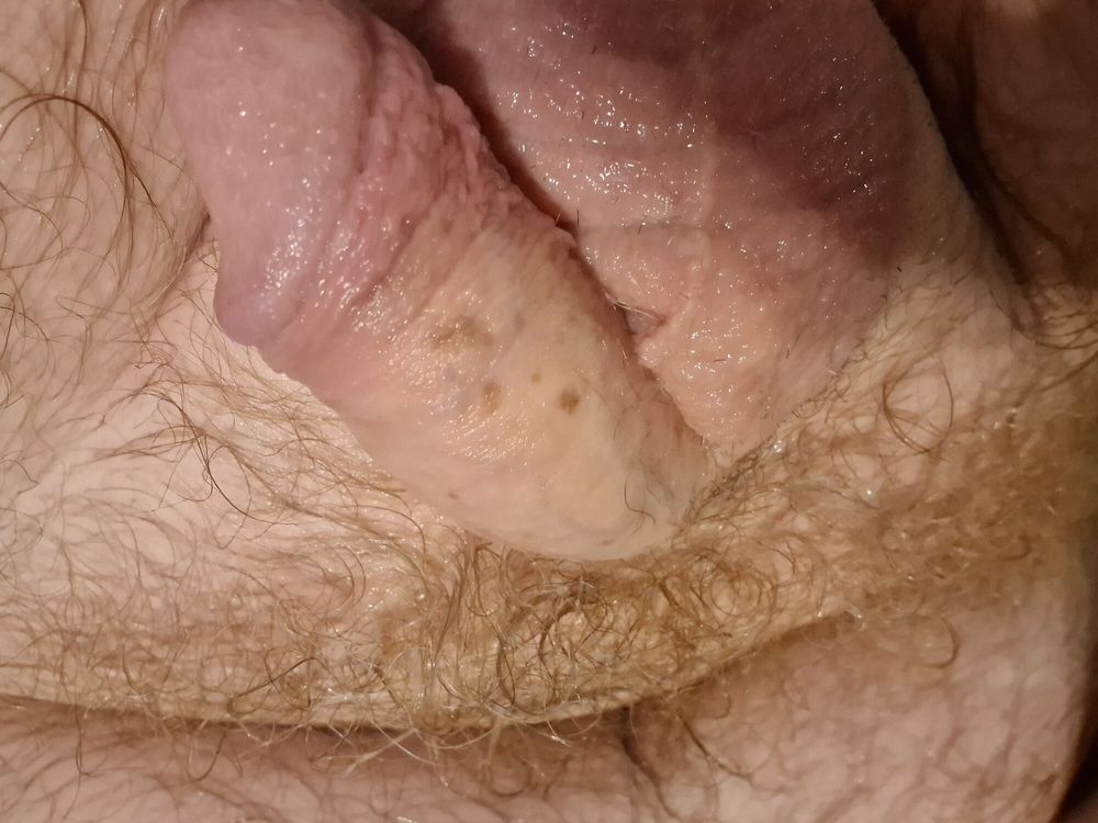 Wet cock and ginger pubes #4