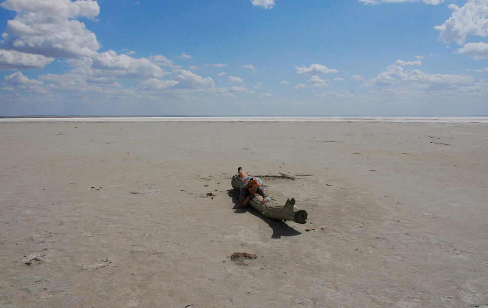 On log in desert #16