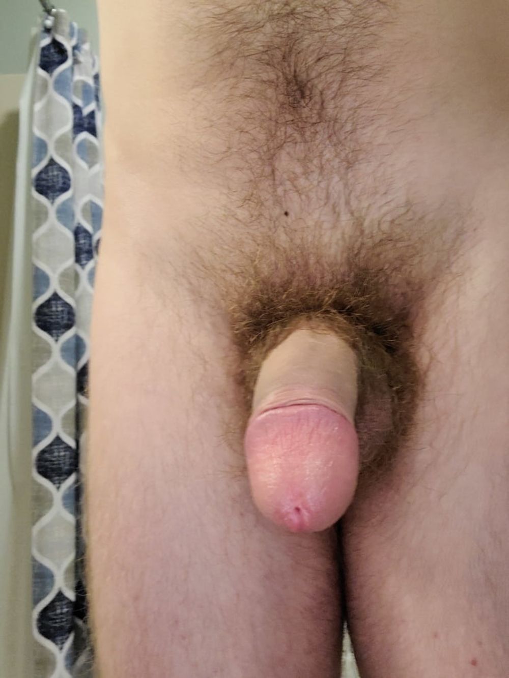 Cock #9