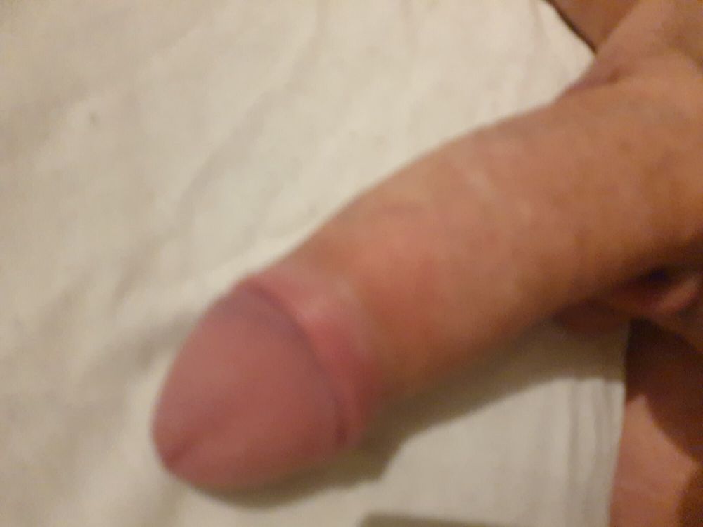 White cock #2