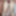 Alex lega Free Photos