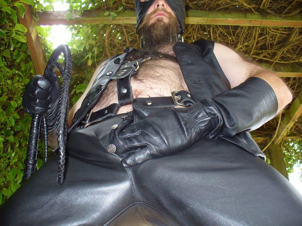 Leather Master outdoors in harness with whip #30