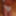 bra and panties mix 5 #24