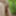Random Pics From Getting Naked in the Woods #8