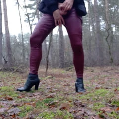 in the forest