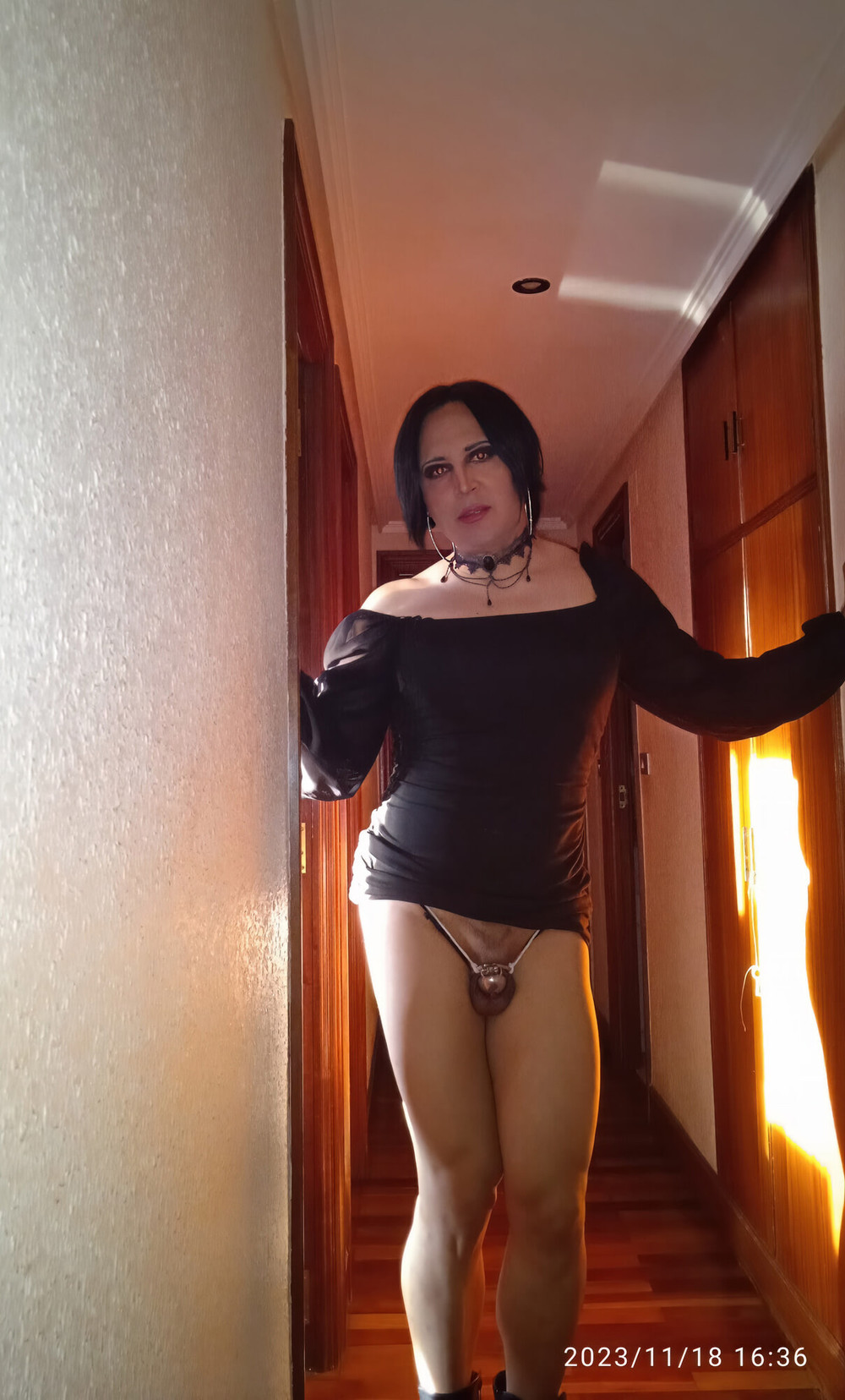 Sissy taniax,Nomvember 2023 #7
