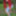 Redhead Outdoors Strips Jeans Off Wearing Pantyhose #5
